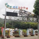 헤밍웨이가든 이미지
