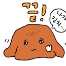 MSG 레슬링 이미지