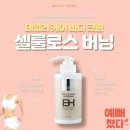 엠에스(MS) 이미지