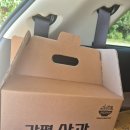 삼거리농장 | 가평사과농장 아네스농원 홍로 직거래 내돈내산 후기