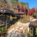 림뮤직아카데미 | 에버랜드 나이트사파리 / 불꽃놀이 :: 34개월 아기랑