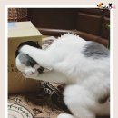 타이밍 이미지
