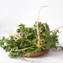 차짐 전민점 이미지