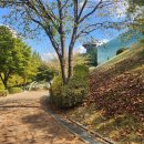 금정함박 이미지