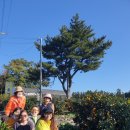낭뜨레 | 11. 10(화)~ 11.12(목) 마을노동자 민주역시탐방 -제주 평화기행 - 평일팀