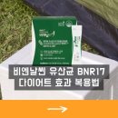 비엔글로벌 이미지