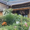 자현당한옥스테이 이미지