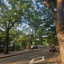 김경진순녹두빈대떡집 | [내돈내산] 안양 예술공원 빈대떡 맛집. 낭만이 남아있는 안양 유원지 터줏대감. 김경진 순녹두빈대떡집