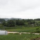 남부-옥동-옥동02 | 자구지맥(3구간) : 냉정산-장원봉 구간