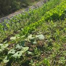 봉선e편한공인중개사사무소 이미지