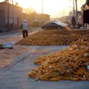 동석상회 이미지