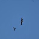 전세역전 이미지