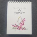 한국캘리테라피