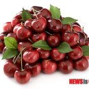 체리마트 이미지