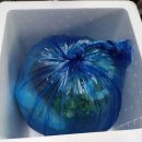 포항아구탕 이미지