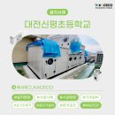 대전신평초등학교 이미지