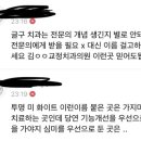 치과 망할위기인 사람의 교정 전 주의사항!(+추가) 이미지