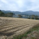 주야1리마을회관 이미지