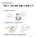 이*기 - 진안군 진장로 51-16 | 이*기