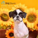 도그스케치 이미지