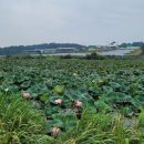 성은공인중개사사무소 이미지