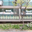 백억공인중개사사무소 이미지