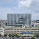 봄 숲으로 가자 이미지