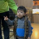 놀자 | 강릉 아이와 가볼만한곳 "강릉생태체험박물관 자연아놀자" 방문후기