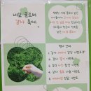 안골포중학교 이미지