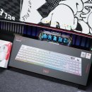 (주)미래하우징 | 풀알루미늄 로우 프로파일? 체리 엑스트리파이 MX 10.1 (feat. MW5500 게이밍마우스)