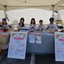 효심마켓 이미지