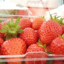 주몽농장 이미지