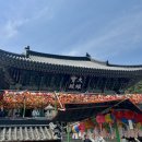 해동택시(주) | 부산 부처님오신날 가기 좋은 해동용궁사 사찰