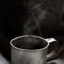 페트리코 이미지