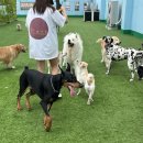 새마을 유치원 이미지