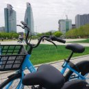 평촌중앙공원 이미지