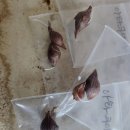 시랑 초등학교 이미지