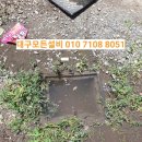 오수정육점 네이버블로그