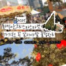 만다리나덕롯데잠실 | 2025 롯데타운 크리스마스마켓 꿀정보 실시간 후기들 총정리 (입장료·시간대·포토존·먹거리·패스트...