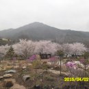 쌍계사 - 1839 | 쌍계사
