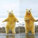 백조어린이집 이미지