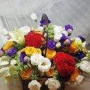 예담산부인과산후조리원 이미지