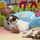 동심예능유치원 이미지