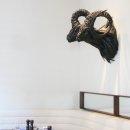 하이브(HIVE) 호텔 이미지