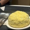 뚱이애견 | [카페] 서산 애견동반카페 타타스베이글_내돈내산