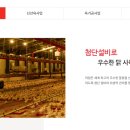 해운양계