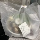 상봉동-050 | 중랑역맛집,술집 : 고니야 (배달의민족 밀푀유나베 배달후기)