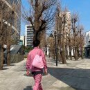 도토루 추천메뉴, 우동신, 르라보 가이악, 신주쿠 고메커리 본구, 도쿄 쇼핑리스트, 니들스 착용 후기)