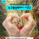 대전오월드, 늑대 '늑구' 복귀 100일 기념 감사 이벤트 개최 이미지
