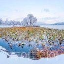 아이 네이버 관광호텔 이미지